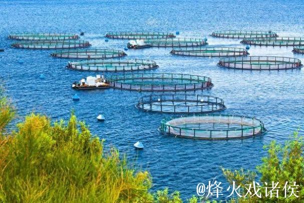 “乘数效应”打造10万亿市场 海洋经济成中国经济增长“蓝色引擎”